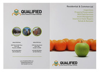 Qualified (Back Flat View)