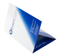 Raskin Global (Inside Tri-Panel View)