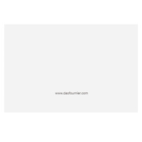 Dao Fournier (Back View)