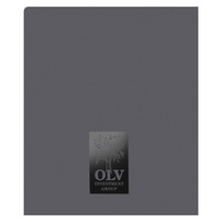 Oliver, Lagore, Vanvalin Investment Group (Back View)