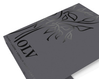 Oliver, Lagore, Vanvalin Investment Group (Front Angled Open View)